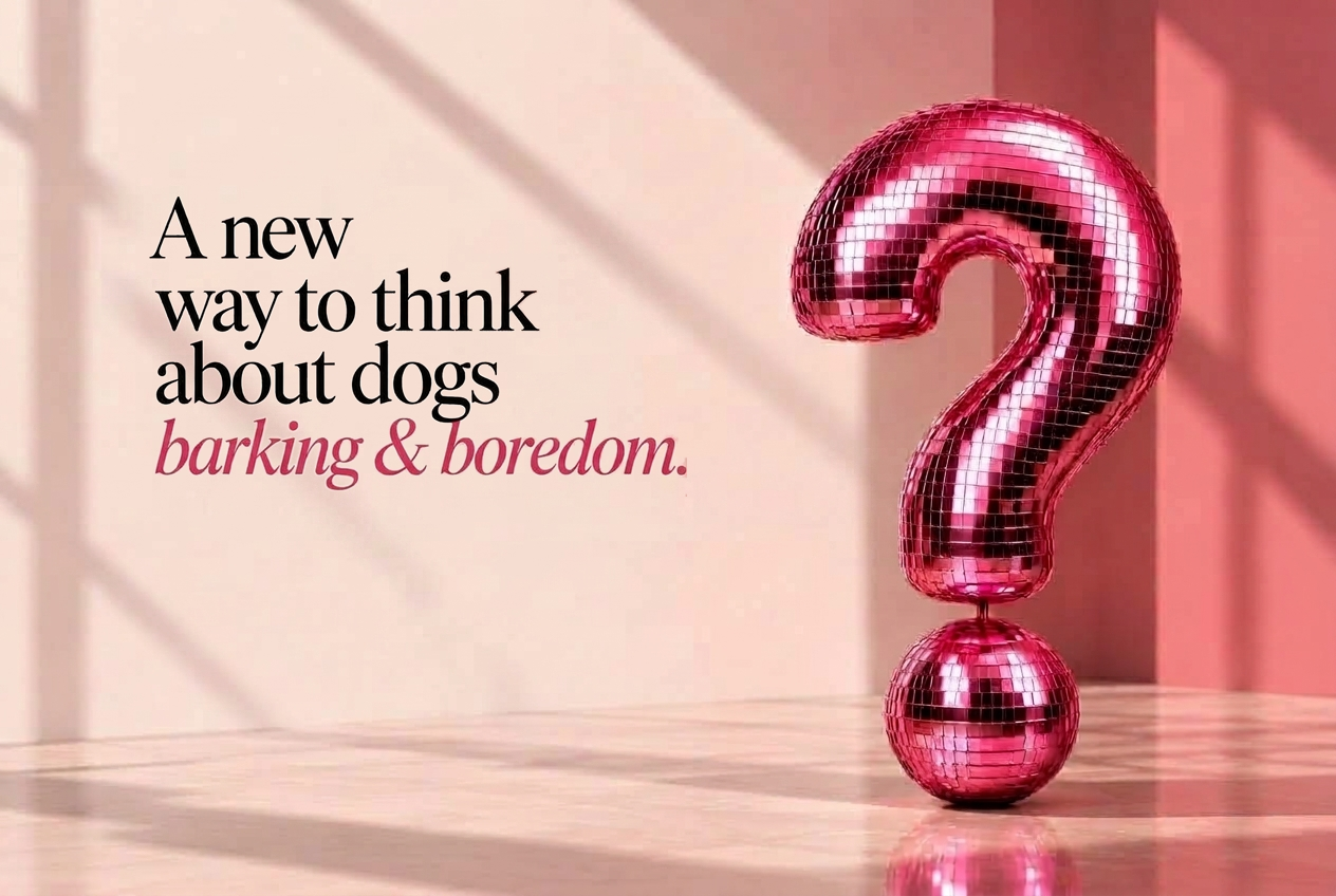 A new way to think about dogs — barking & boredom.